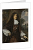 Portrait of Jacob de Witte, Lord of Haamstede by Jan Mijtens