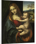 Virgin and Child by Giampetrino