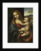 Virgin and Child by Giampetrino
