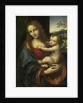 Virgin and Child by Giampetrino