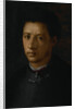 Portrait of Alessandro de' Medici by Anonymous