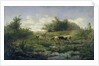 Cows in a Puddle by Gerard Bilders