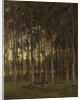 Forest scene by Théophile de Bock