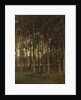 Forest scene by Théophile de Bock