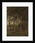 Forest scene by Théophile de Bock