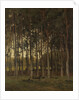 Forest scene by Théophile de Bock