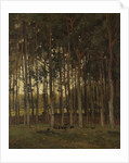 Forest scene by Théophile de Bock