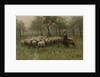 Shepherdess with a Flock of Sheep by Anton Mauve