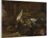 Dead Birds by Melchior d' Hondecoeter
