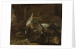 Dead Birds by Melchior d' Hondecoeter