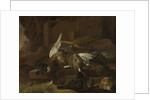 Dead Birds by Melchior d' Hondecoeter
