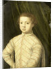 Portrait of a Boy, probably Giovanni de' Medici by Anonymous