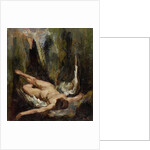 The fallen angel by Willem de Zwart