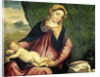 Virgin with Sleeping Child by Paris Bordone