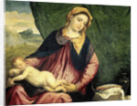 Virgin with Sleeping Child by Paris Bordone