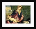 Virgin with Sleeping Child by Paris Bordone