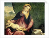 Virgin with Sleeping Child by Paris Bordone