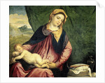 Virgin with Sleeping Child by Paris Bordone