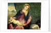 Virgin with Sleeping Child by Paris Bordone
