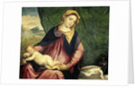 Virgin with Sleeping Child by Paris Bordone
