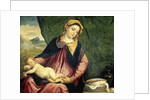 Virgin with Sleeping Child by Paris Bordone