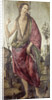 John the Baptist by Francesco Botticini