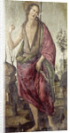 John the Baptist by Francesco Botticini