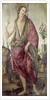 John the Baptist by Francesco Botticini