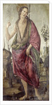 John the Baptist by Francesco Botticini
