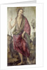 John the Baptist by Francesco Botticini