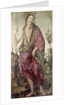John the Baptist by Francesco Botticini