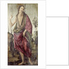 John the Baptist by Francesco Botticini