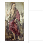 John the Baptist by Francesco Botticini