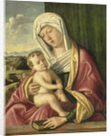 Virgin and Child by School of Giovanni Bellini