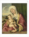 Virgin and Child by School of Giovanni Bellini