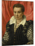Portrait of a Woman by Anonymous