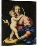 Virgin and Child by Workshop of Giovanni Battista Salvi