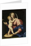 Virgin and Child by Workshop of Giovanni Battista Salvi