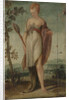 Woman with Mirror by Circle of Lambert Sustris
