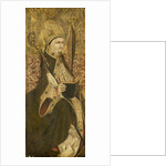 A Holy Bishop by Anonymous