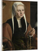 Maarten van Heemskerck (1498–1574), Haarlem, 1529 by Maarten van Heemskerck