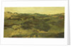Heathland, presumably in in Drente, The Netherlands by George Hendrik Breitner