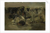 four cows by George Hendrik Breitner