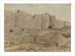 City wall in India by Marius Bauer
