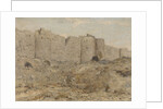 City wall in India by Marius Bauer