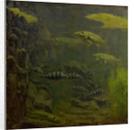 Pike and bass in an aquarium by Gerrit Willem Dijsselhof