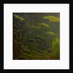 Pike and bass in an aquarium by Gerrit Willem Dijsselhof