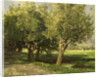 Willows by Willem Roelofs I