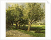 Willows by Willem Roelofs I