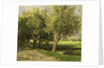 Willows by Willem Roelofs I